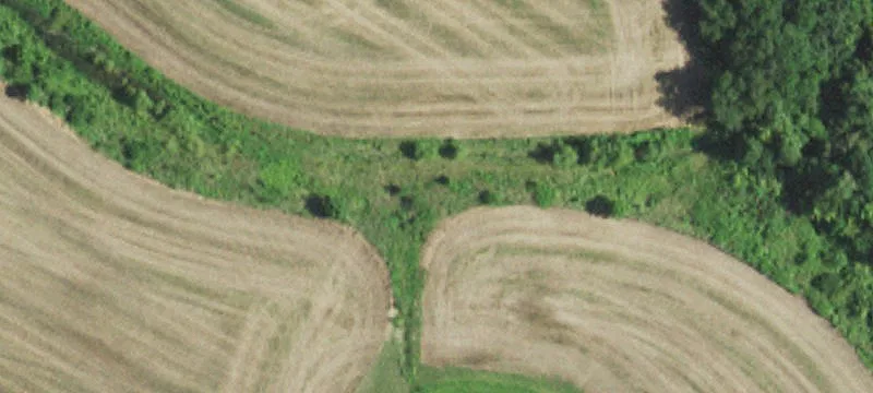 Ruth School Rd