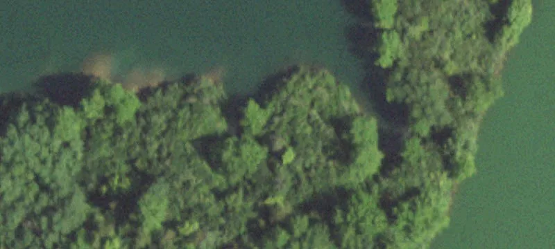 Oakwood, IL 61858