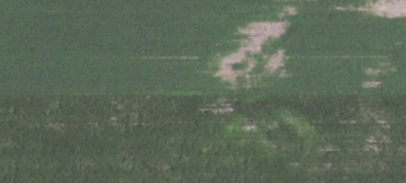 Taylor Ridge, IL 61284