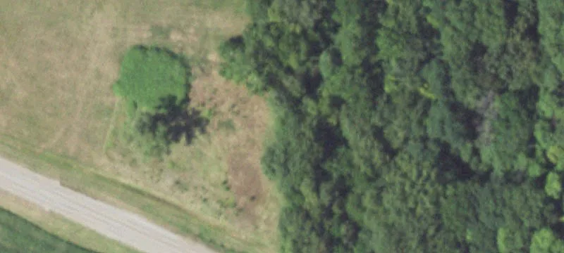 Farmdale Rd