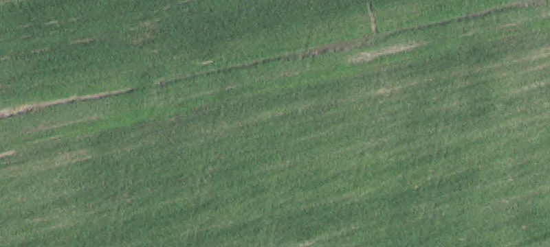 Plank Rd