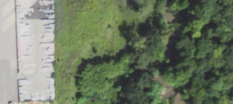 Timber Dr