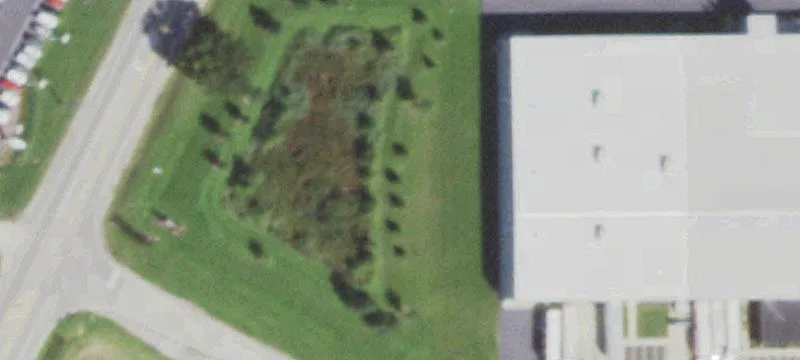 Il Rt 31