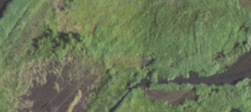 Pawnee, IL 62558
