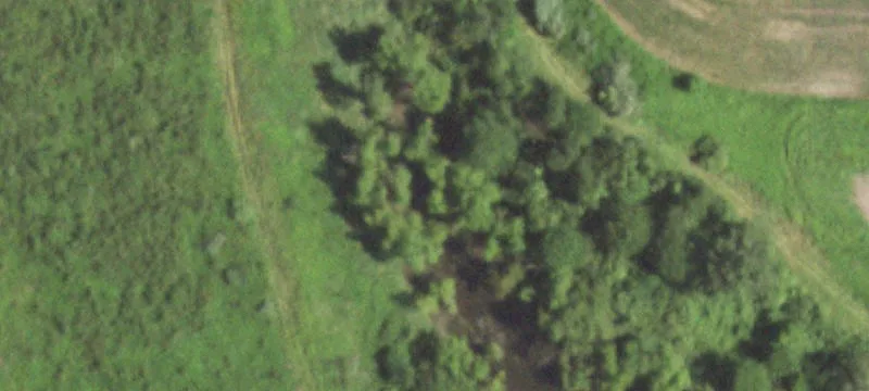 Pawnee, IL 62558