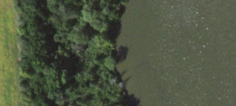 Pawnee, IL 62558