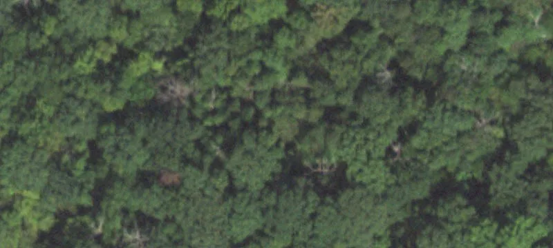  Mount