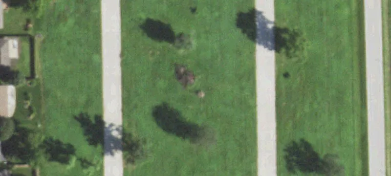 Manteno, IL 60950