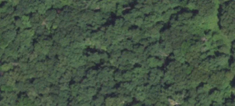 6577 Ml Holw Rd