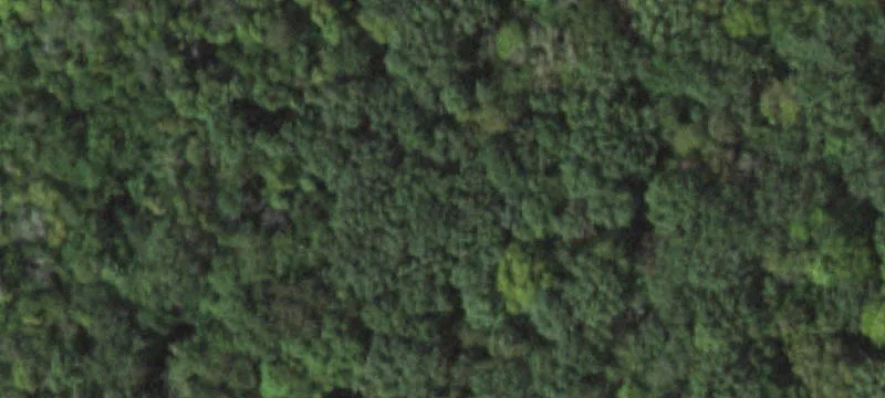 Rural Lk Area