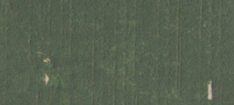 Winchester, IL 62694