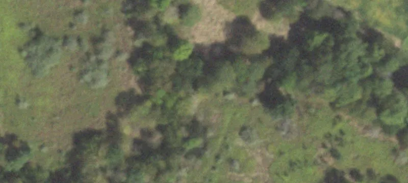Farmer City, IL 61842
