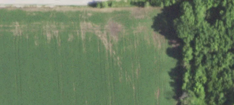 Taylorville Rd