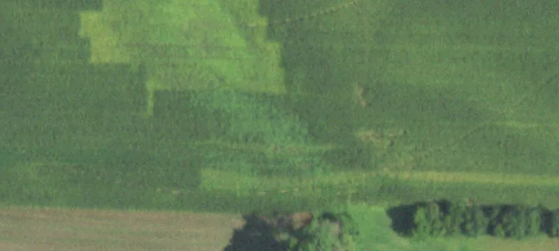 Palestine, IL 62451