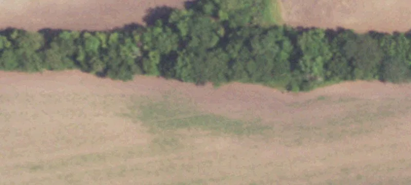 Niota, IL 62358