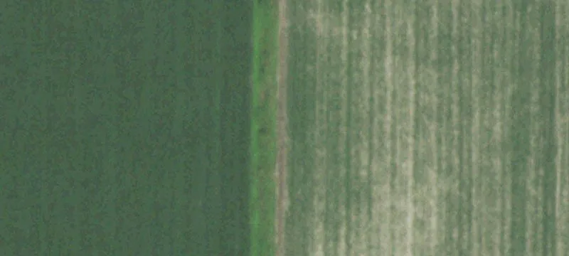 Carthage, IL 62321