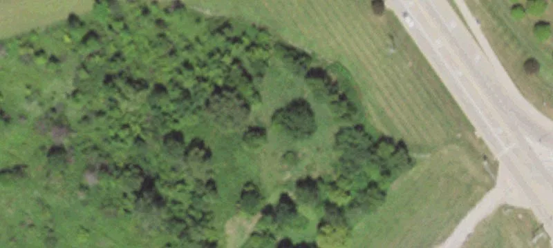 Chetlain Ln