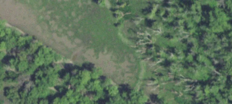 Lowpoint, IL 61545
