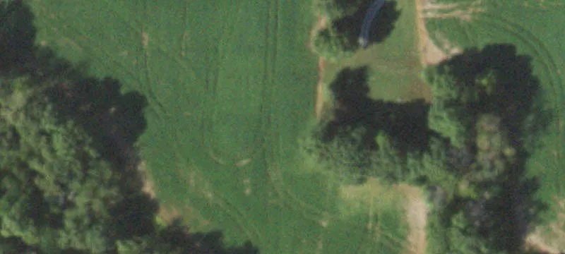 Xenia, IL 62899
