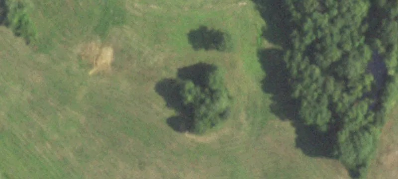Roodhouse, IL 62082