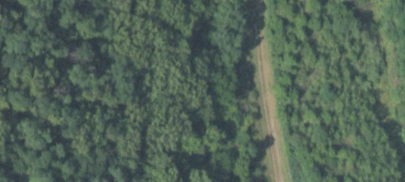 Canton, IL 61520