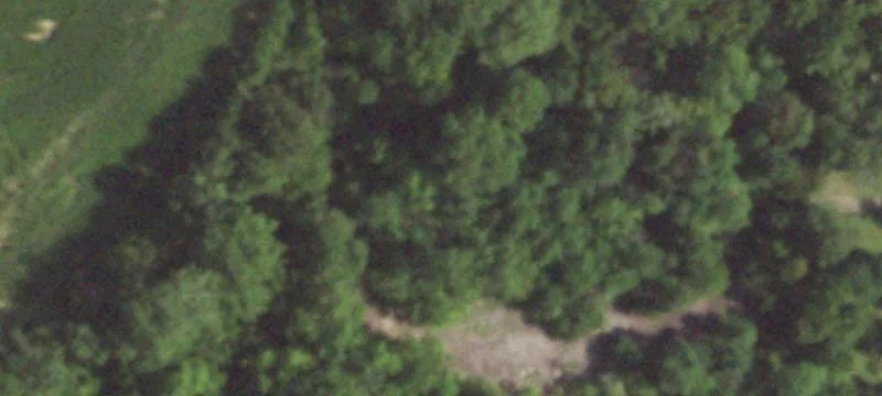 Vermont, IL 61484