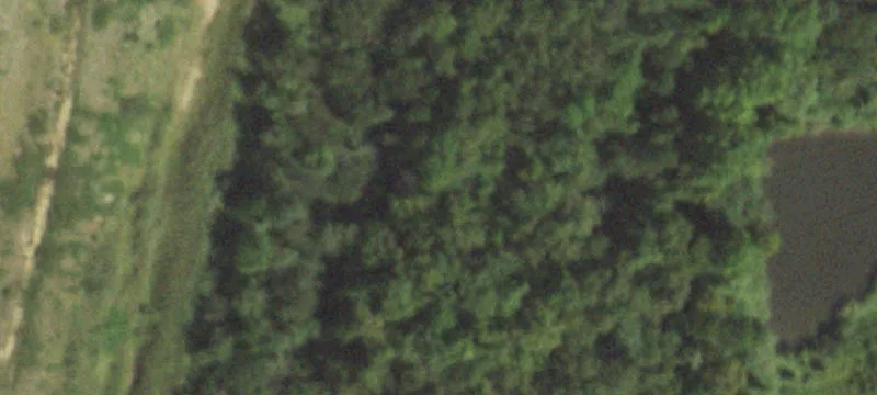 Marion, IL 62959