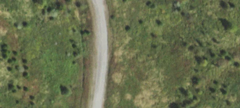 Herod, IL 62947