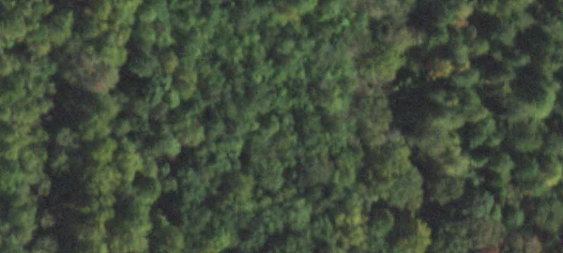 Herod, IL 62947