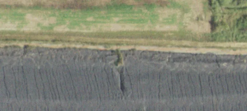 Galatia, IL 62935