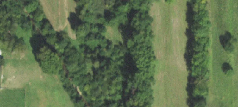 Fairfield, IL 62837