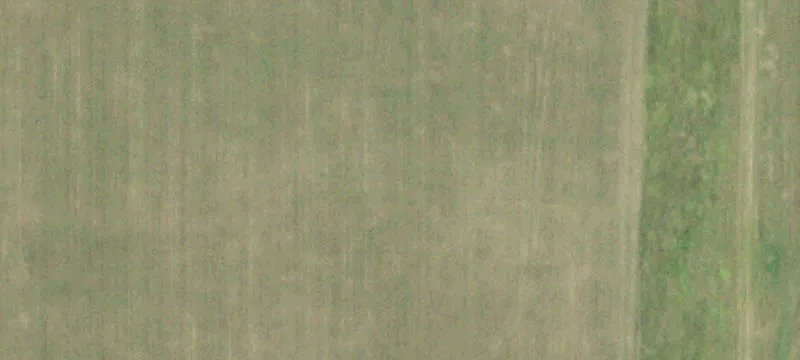Marshall, IL 62441