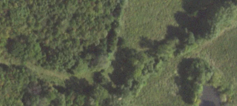 Goreville, IL 62939