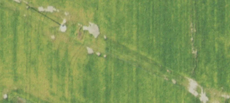 Galatia, IL 62935