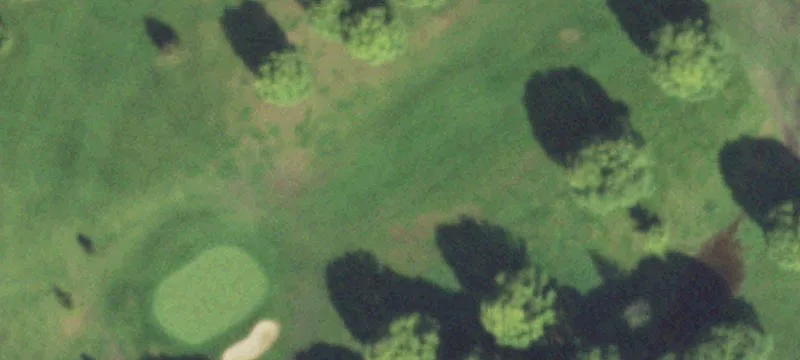 19351 Leroy Ctr Rd