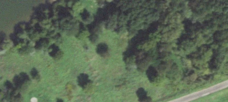 Weldon, IL 61882