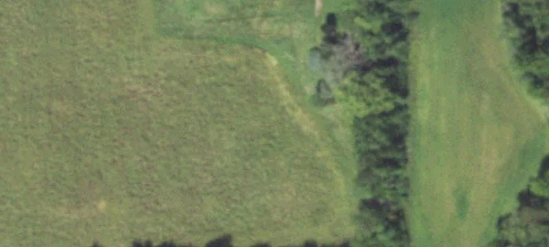 Wedron, IL 60557