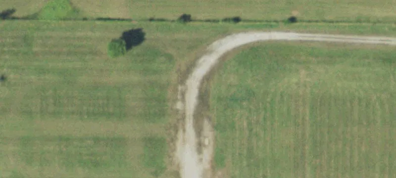 Cisne, IL 62823
