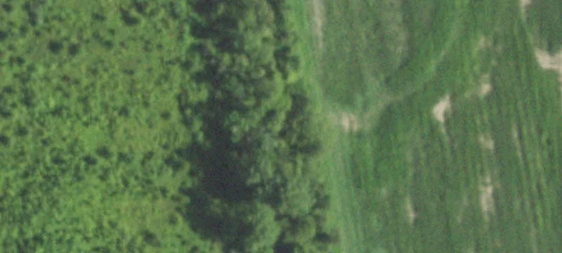 Marshall, IL 62441
