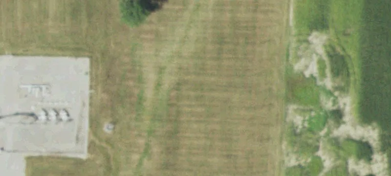 Cisne, IL 62823