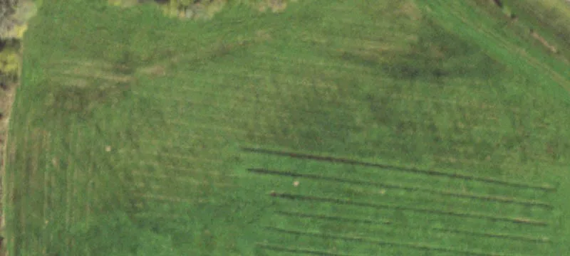 Belvidere, IL 61008