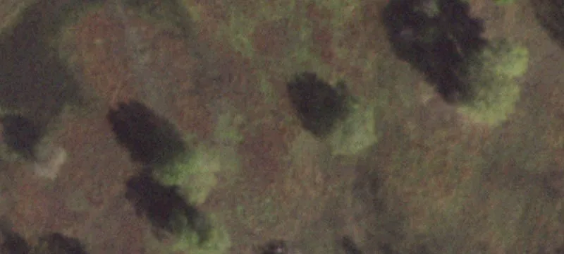 Belvidere, IL 61008