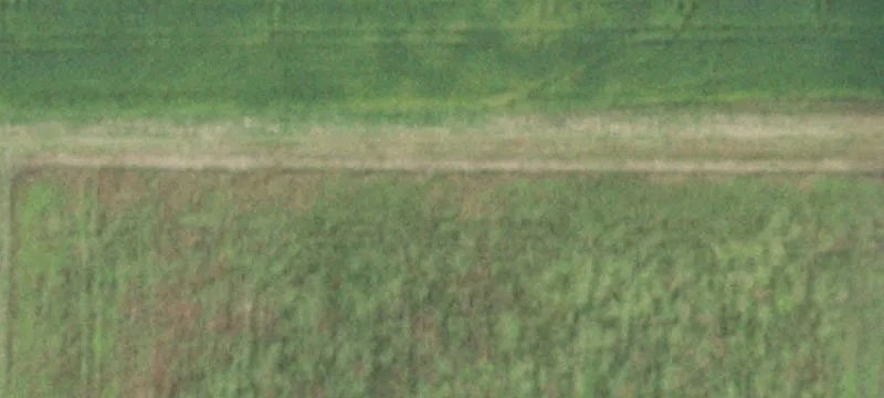 Broughton, IL 62817