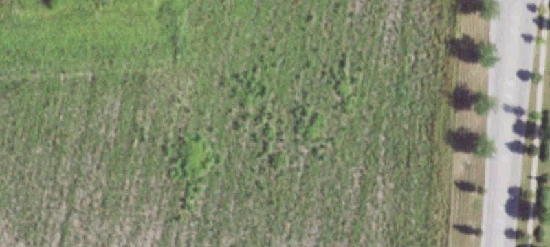 Plano, IL 60545