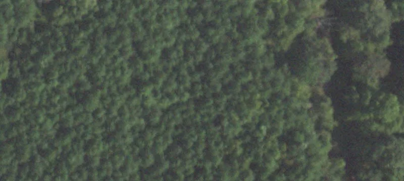 Goreville, IL 62939