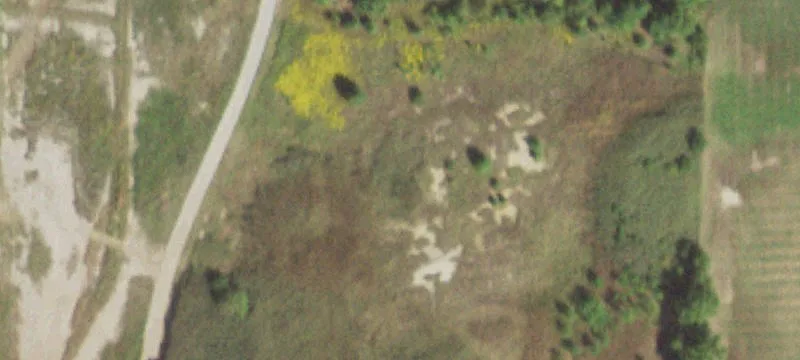 Noble, IL 62868