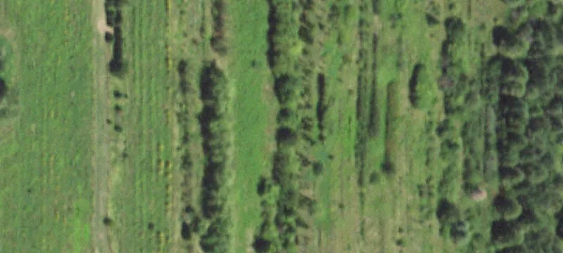 Tonica, IL 61370