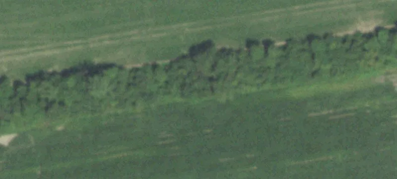 Carthage, IL 62321
