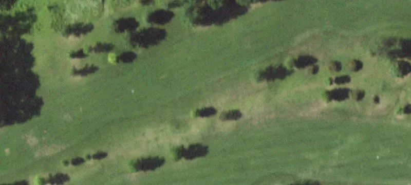 Sheldon, IL 60966