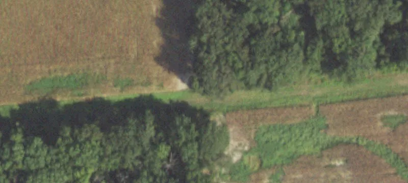 Sesser, IL 62884